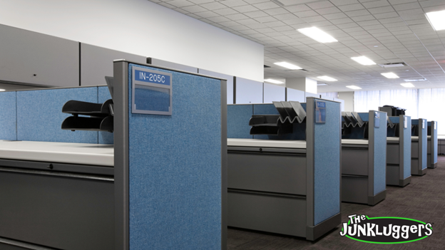 Transforming Your Office Space: The Impact of Eco-Friendly Junk Removal