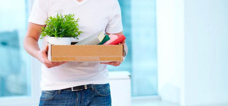 How to Safely Move Houseplants on Moving Day