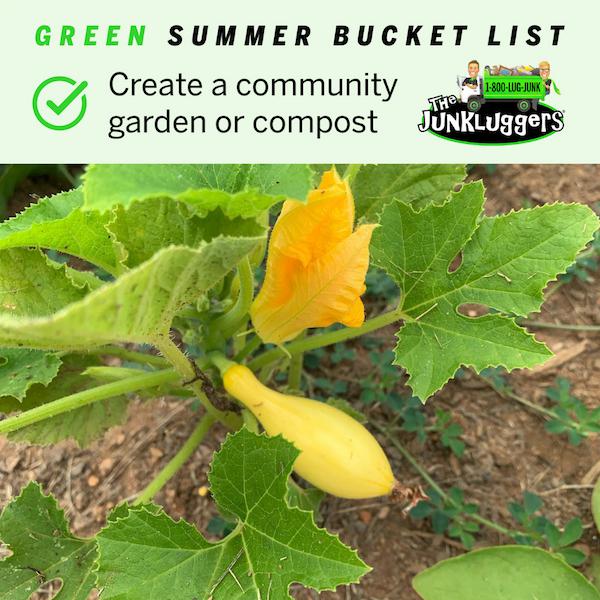 Green summer bucket list