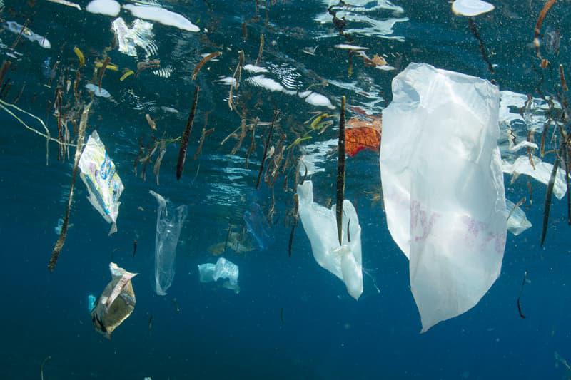 Plastic Waste in the Ocean