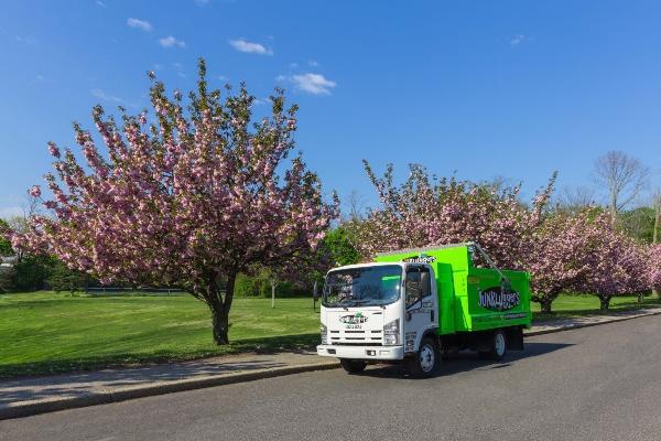 Cherry Blossom Spring Cleanout