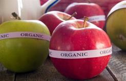 Organic Red and Green Apples